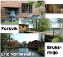 Forsviks Bruksmilj� - klicka !