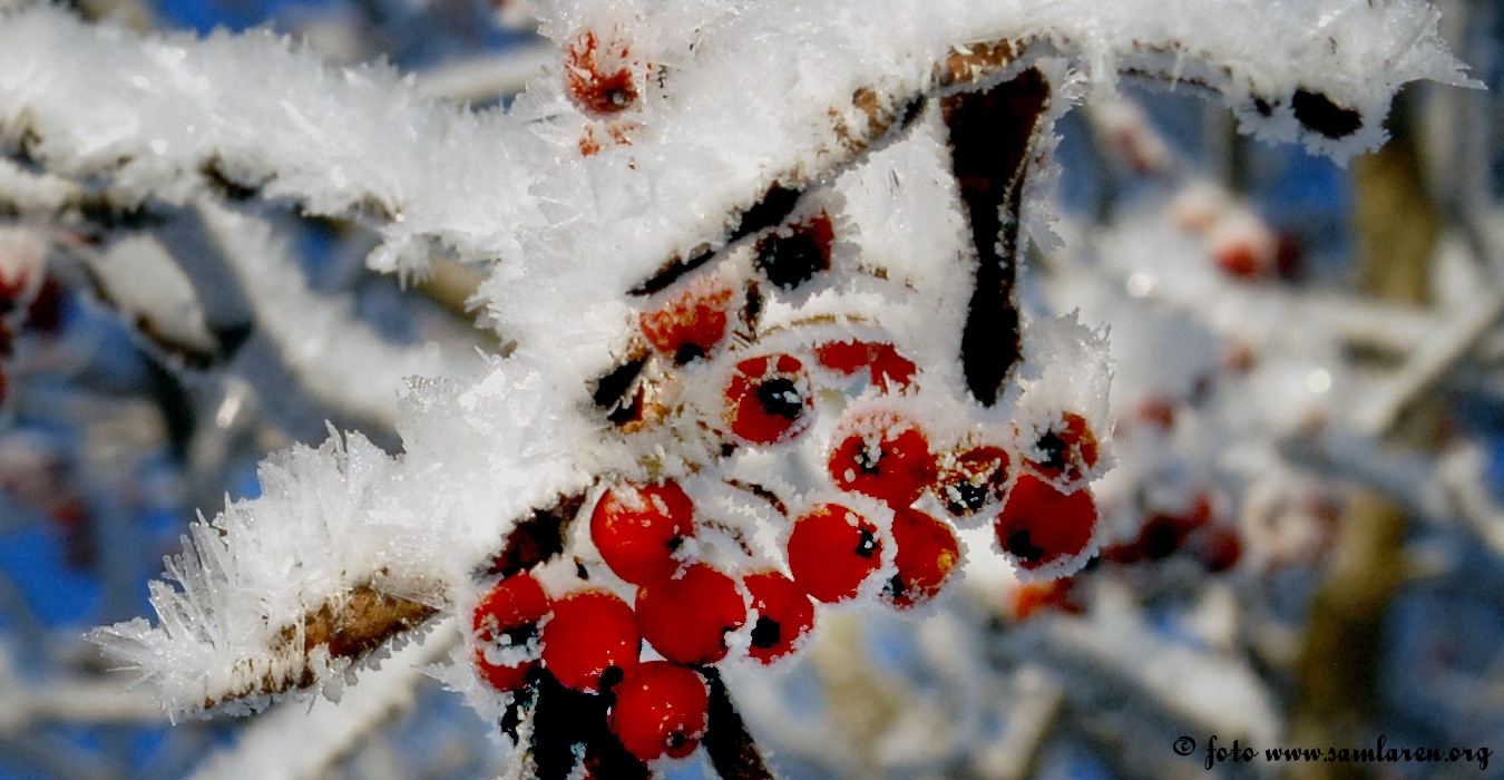 Bilder