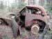 Klicka f�r st�rre format - &copy; Copyright-st�ldm�rkt bild
