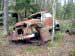 Klicka f�r st�rre format - &copy; Copyright-st�ldm�rkt bild