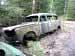 Klicka f�r st�rre format - &copy; Copyright-st�ldm�rkt bild