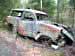 Klicka f�r st�rre format - &copy; Copyright-st�ldm�rkt bild