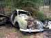 Klicka f�r st�rre format - &copy; Copyright-st�ldm�rkt bild
