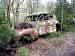 Klicka f�r st�rre format - &copy; Copyright-st�ldm�rkt bild