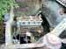 Klicka f�r st�rre format - &copy; Copyright-st�ldm�rkt bild