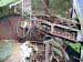 Klicka f�r st�rre format - &copy; Copyright-st�ldm�rkt bild