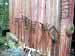 Klicka f�r st�rre format - &copy; Copyright-st�ldm�rkt bild