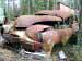 Klicka f�r st�rre format - &copy; Copyright-st�ldm�rkt bild