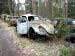 Klicka f�r st�rre format - &copy; Copyright-st�ldm�rkt bild