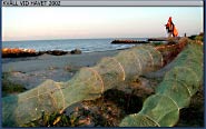 Kv�ll vid havet 2002 - klicka f�r st�rre format