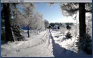 Trettondagsjul 2003 - klicka f�r st�rre format
