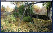 H�st - klicka f�r st�rre format