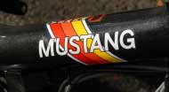 Mustang - klicka f�r st�rre format