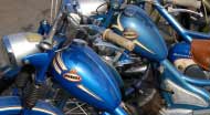 Monarker - klicka f�r st�rre format