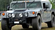 Hummer - klicka f�r st�rre format