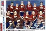 Wembley Lions harde sista 20 �ren 
varit en av Englands dominerande ishockeyklubb.  
- klicka f�r st�rre format
